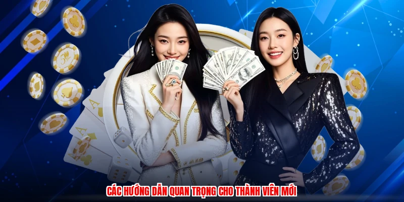 Các hướng dẫn quan trọng cho thành viên mới