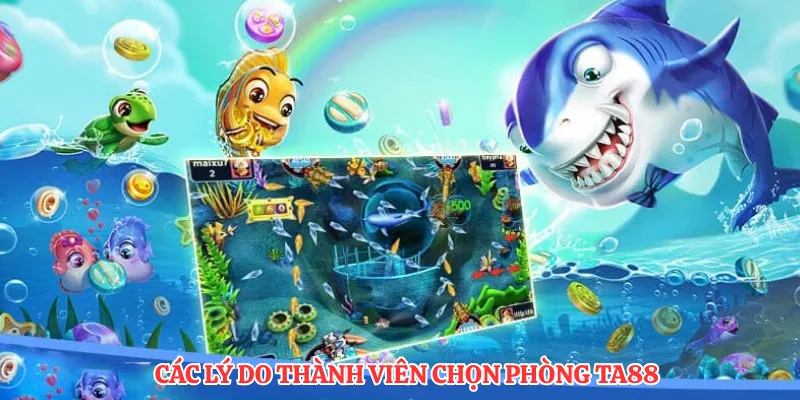 Các lý do thành viên chọn phòng TA88