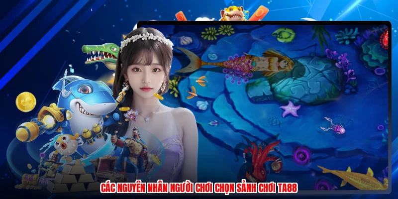 Các nguyên nhân người chơi chọn sảnh chơi TA88