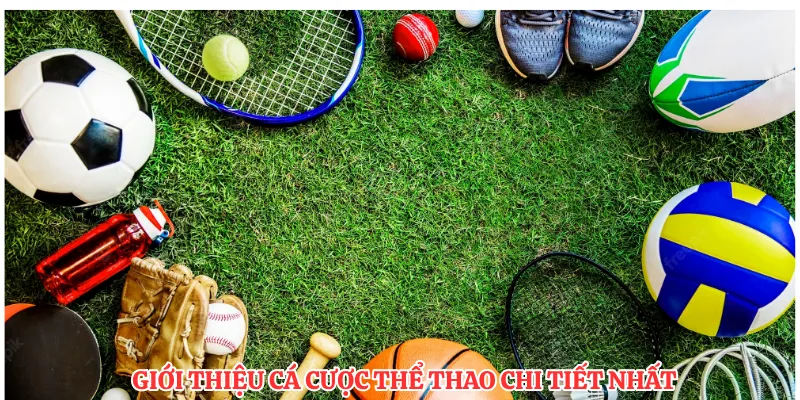 Giới thiệu cá cược thể thao chi tiết nhất
