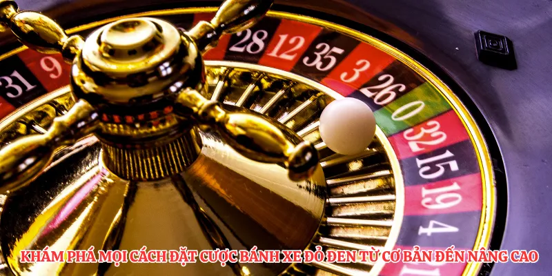 Khám phá mọi cách đặt cược bánh xe đỏ đen từ cơ bản đến nâng cao 
